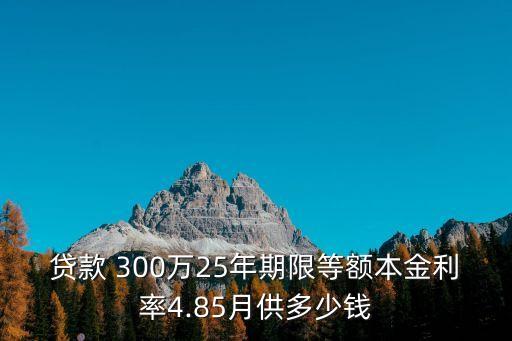 商貸300萬月供多少年,商貸100萬30年月供多少