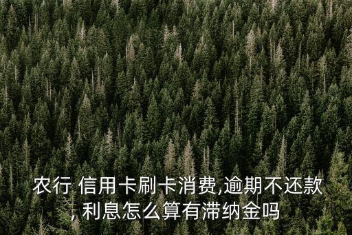  農(nóng)行 信用卡刷卡消費(fèi),逾期不還款, 利息怎么算有滯納金嗎
