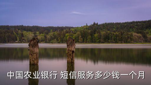 中國農(nóng)業(yè)銀行 短信服務(wù)多少錢一個(gè)月