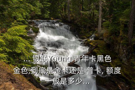 ... 銀聯(lián)Young 青年卡黑色金色,到底是金卡還是 普卡, 額度一般是多少...