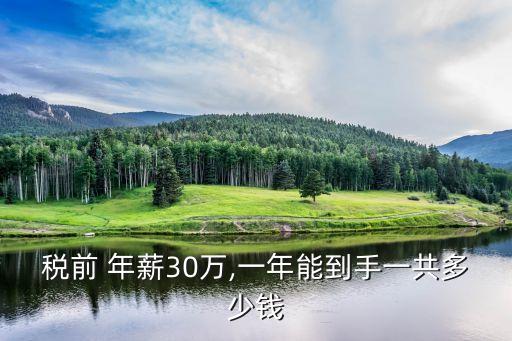 稅前 年薪30萬,一年能到手一共多少錢