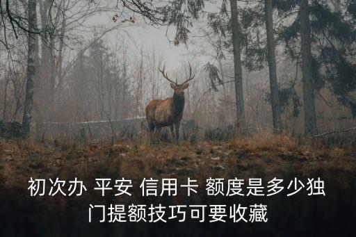 初次辦 平安 信用卡 額度是多少獨門提額技巧可要收藏