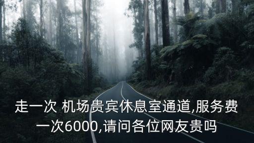 走一次 機場貴賓休息室通道,服務(wù)費一次6000,請問各位網(wǎng)友貴嗎