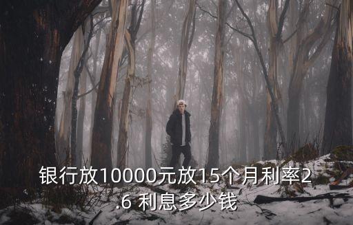 銀行放10000元放15個月利率2.6 利息多少錢