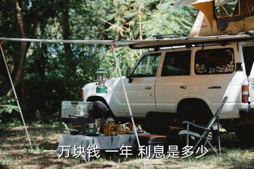 一元利息一年多少錢(qián)啊,100000一分利息一年是多少