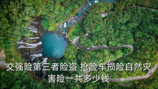 交強險第三者險盜 搶險車損險自然災(zāi)害險一共多少錢