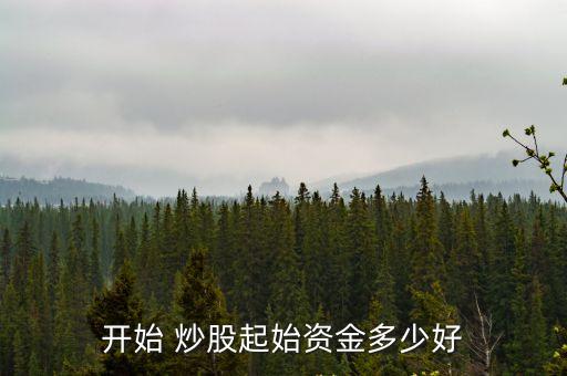 開始 炒股起始資金多少好