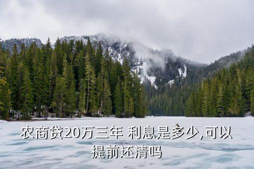貸款20萬3年多少利息,三十年貸款100萬總共還多少