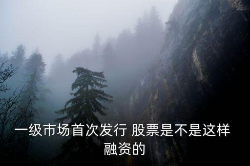 每支股票初始融資額是多少