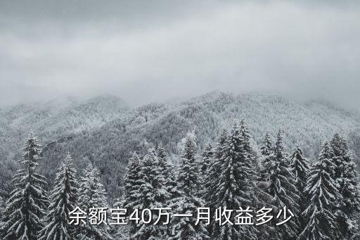  余額寶40萬(wàn)一月收益多少