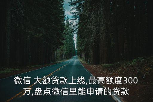 大額借款安徽是多少錢,多少金額算大額借款