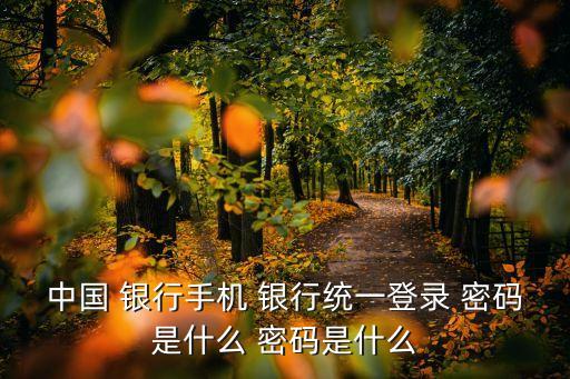 中國(guó) 銀行手機(jī) 銀行統(tǒng)一登錄 密碼是什么 密碼是什么