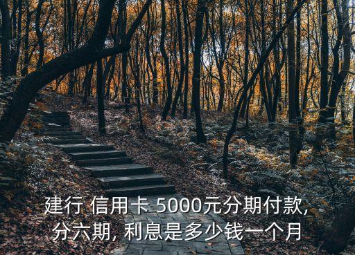 建行 信用卡 5000元分期付款,分六期, 利息是多少錢(qián)一個(gè)月