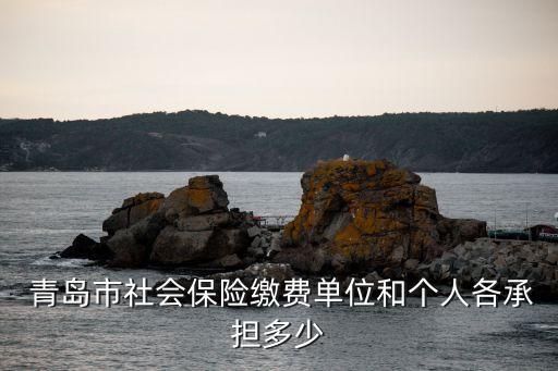  青島市社會(huì)保險(xiǎn)繳費(fèi)單位和個(gè)人各承擔(dān)多少