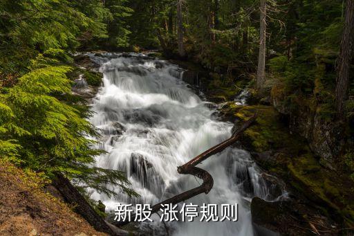 新股 漲停規(guī)則
