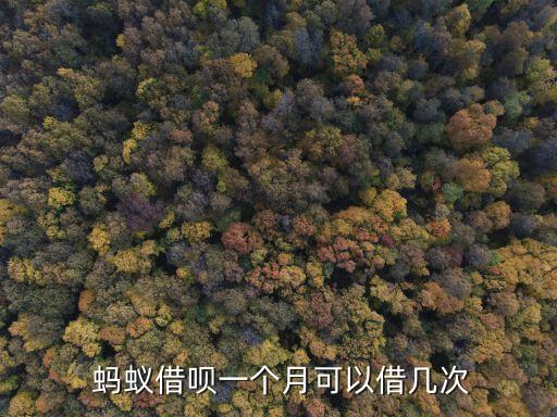 螞蟻借唄第二次額度多少,螞蟻分600多少額度
