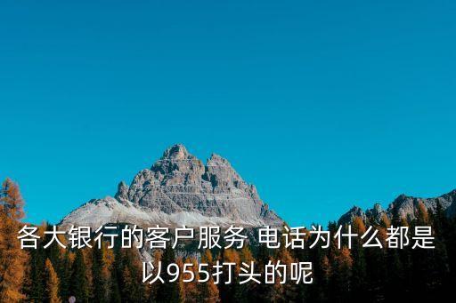 各大銀行的客戶服務(wù) 電話為什么都是以955打頭的呢