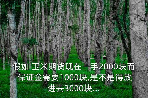 玉米需要多少保證金,玉米期貨交易所保證金