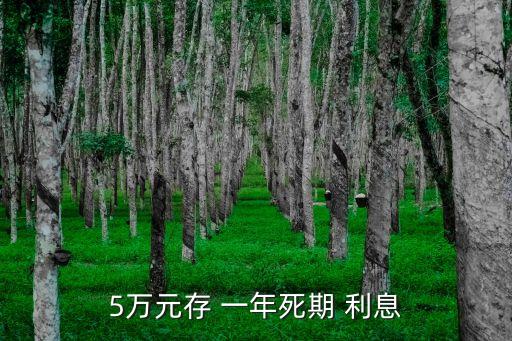 5萬元存 一年死期 利息