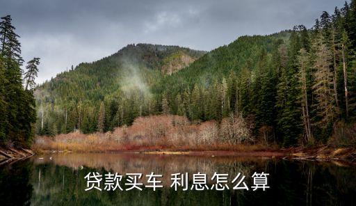 貸款買車 利息怎么算