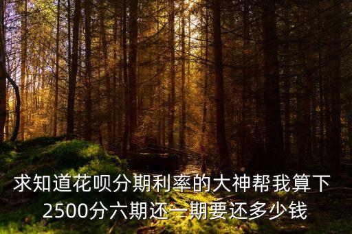 花唄2500分期利息多少,借唄和花唄分期哪個利息高