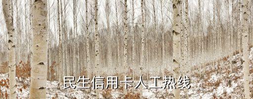 民生銀行濟(jì)南網(wǎng)點(diǎn)電話是多少,濟(jì)南民生銀行周六上班的網(wǎng)點(diǎn)