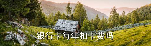 debit card年費多少,華為card年費多少