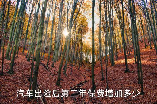 車險出二次明年漲多少錢