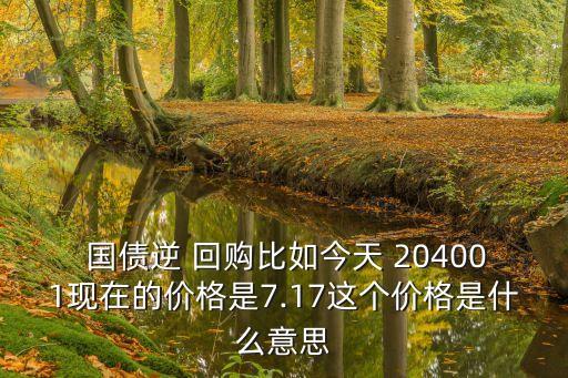  國債逆 回購比如今天 204001現(xiàn)在的價格是7.17這個價格是什么意思