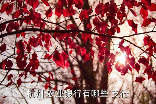杭州 農業(yè)銀行有哪些 支行