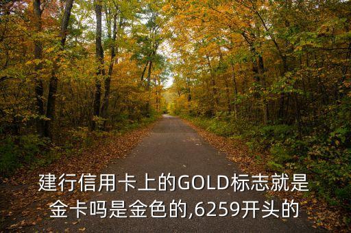 建行金卡卡號多少位,建行升級金卡需要換卡號嗎