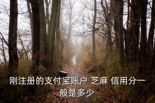剛注冊的支付寶賬戶 芝麻 信用分一般是多少