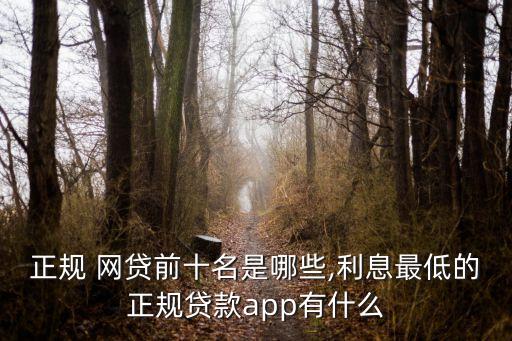 正規(guī) 網(wǎng)貸前十名是哪些,利息最低的正規(guī)貸款app有什么