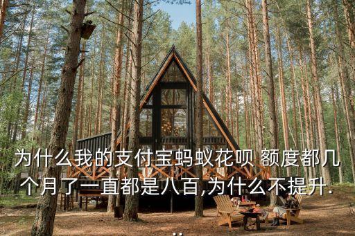 為什么我的支付寶螞蟻花唄 額度都幾個(gè)月了一直都是八百,為什么不提升...
