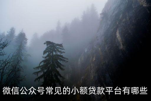 小花錢包一天多少名額