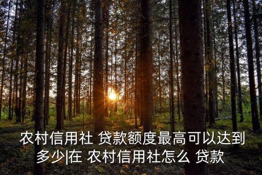  農(nóng)村信用社 貸款額度最高可以達(dá)到多少|(zhì)在 農(nóng)村信用社怎么 貸款
