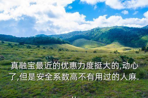  真融寶最近的優(yōu)惠力度挺大的,動心了,但是安全系數(shù)高不有用過的人麻...