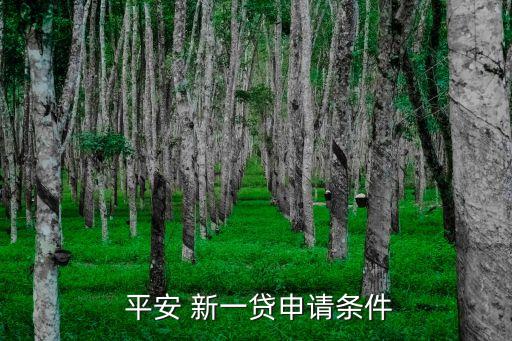 平安銀行新一貸最低貸款多少
