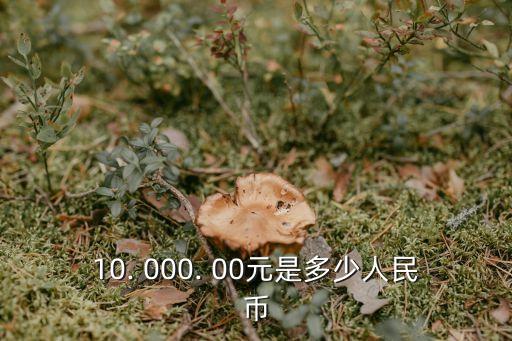 10. 000. 00元是多少人民幣