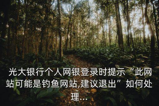  光大銀行個(gè)人網(wǎng)銀登錄時(shí)提示“此網(wǎng)站可能是釣魚(yú)網(wǎng)站,建議退出”如何處理...