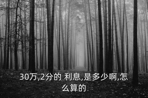 30萬,2分的 利息,是多少啊,怎么算的