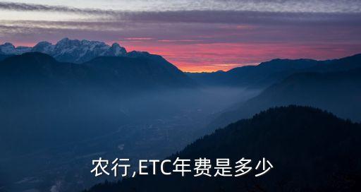  農(nóng)行,ETC年費(fèi)是多少