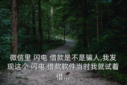 微信里 閃電 借款是不是騙人,我發(fā)現(xiàn)這個(gè) 閃電 借款軟件當(dāng)時(shí)我就試著借...