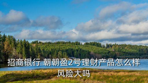 招商銀行 朝朝盈2號(hào)理財(cái)產(chǎn)品怎么樣風(fēng)險(xiǎn)大嗎