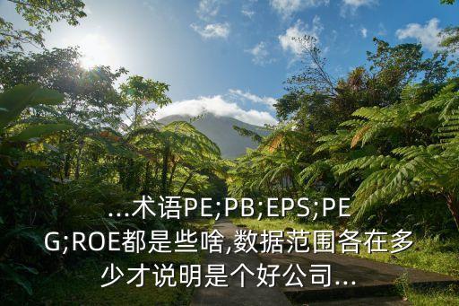 ...術(shù)語PE;PB;EPS;PEG;ROE都是些啥,數(shù)據(jù)范圍各在多少才說明是個好公司...