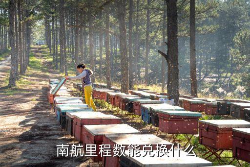 南航里程數(shù)能兌換什么