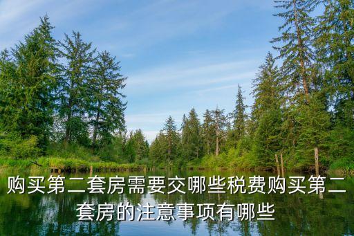 購買第二套房需要交哪些稅費購買第二套房的注意事項有哪些