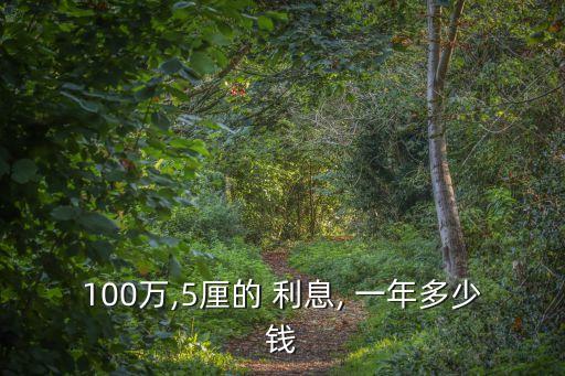 五里的利息一年是多少錢(qián)