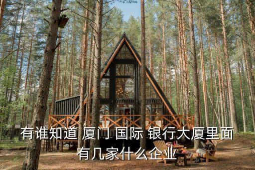 有誰知道 廈門 國際 銀行大廈里面有幾家什么企業(yè)