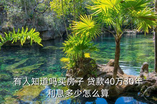 有人知道嗎買房子 貸款40萬(wàn)30年利息多少怎么算